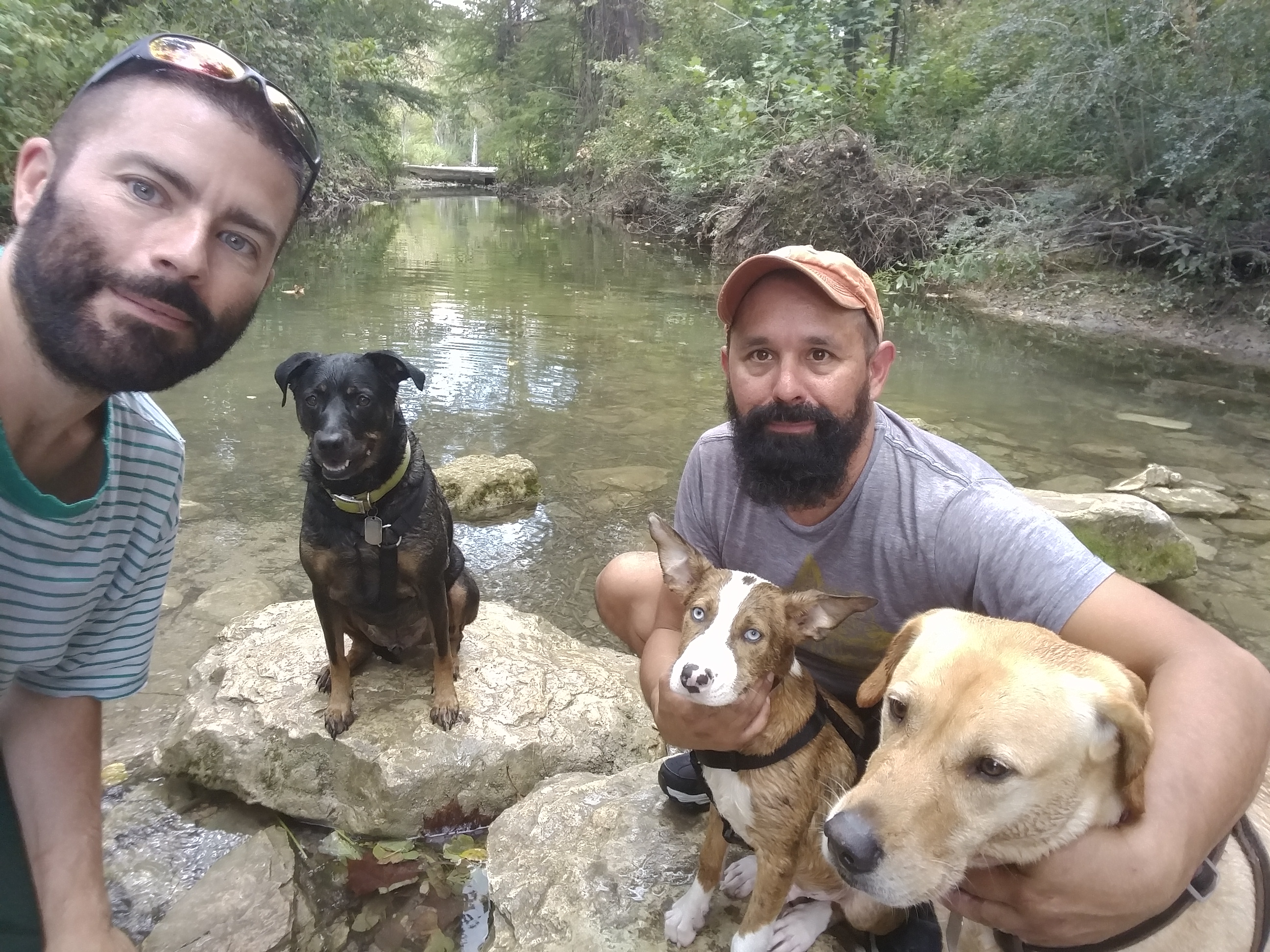 Dann, Dax, Curzon, Anthony, and Tobin in a Greenbelt creek in Austin